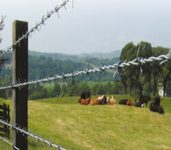 Bursa Tel Çit Sistemler Çit Bursa Tel Çit Sistemler Çit